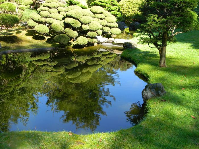 Golden Gate Park