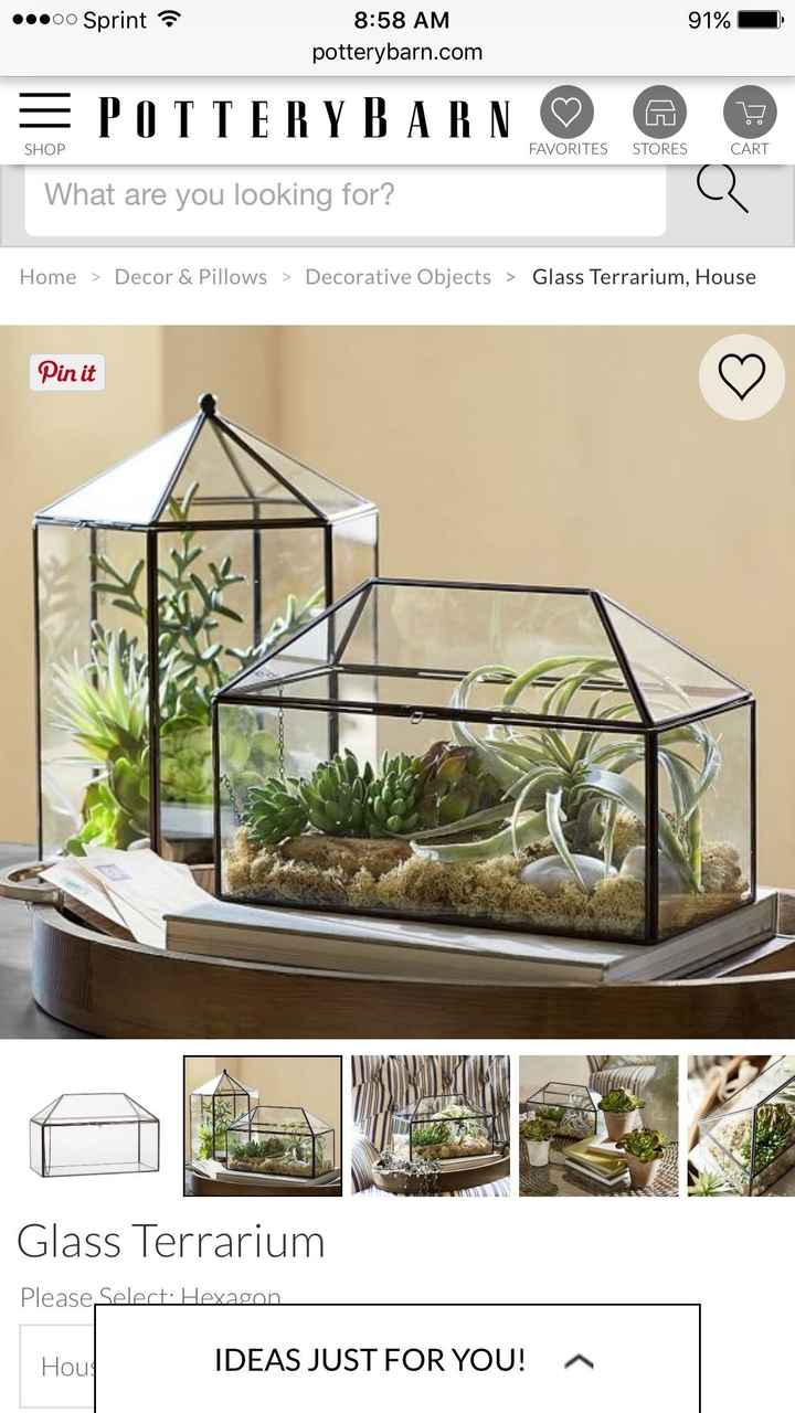 ISO Geometric card box/terrrarium