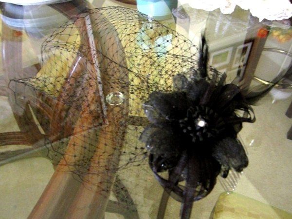 DIY Birdcage Veil