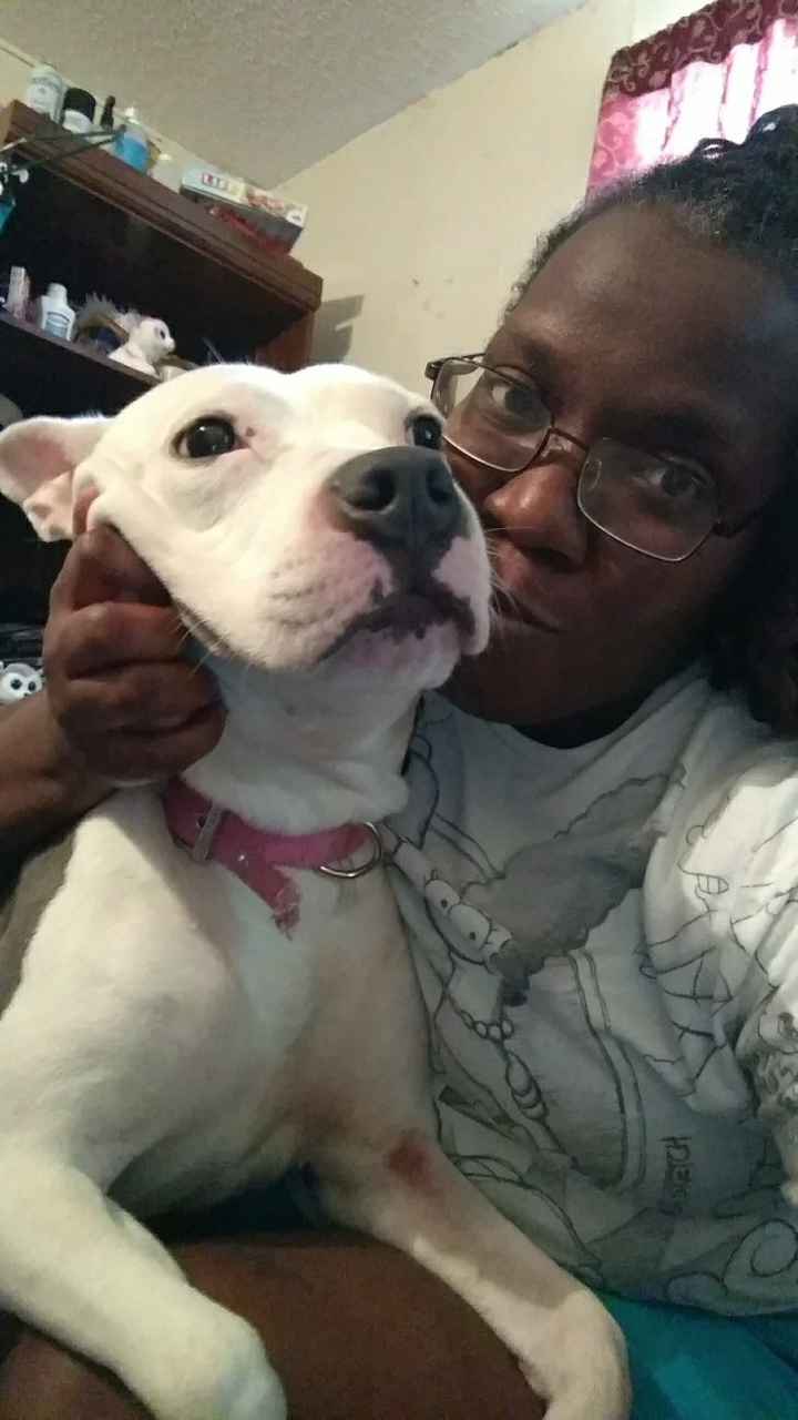 NWR, Everyone meet Darla! *new puppy*