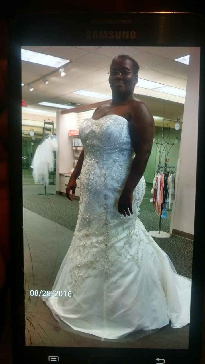 Plus Sized Divas!!!