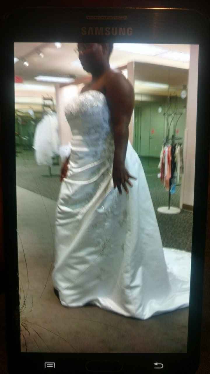 Plus Sized Divas!!!