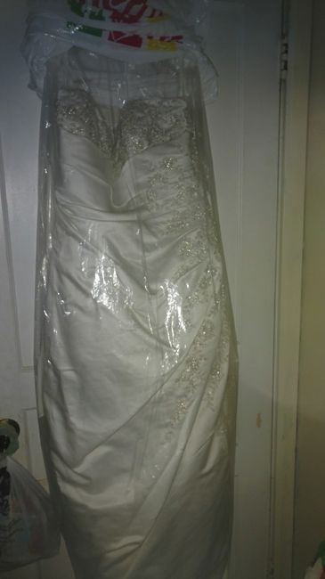How much did your dress cost ??