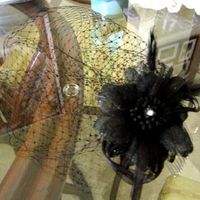 DIY Birdcage Veil