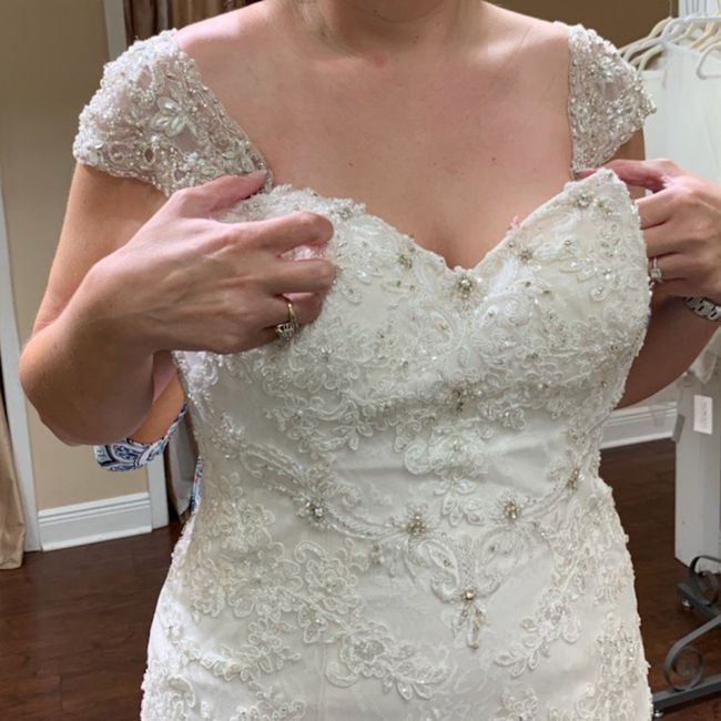 Strapless Bra or cups sewn in? 2