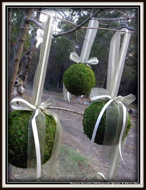Greenery/moss