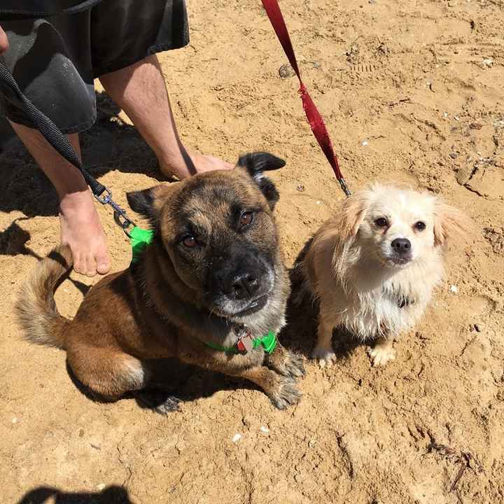 My Boys on the Beach. 
