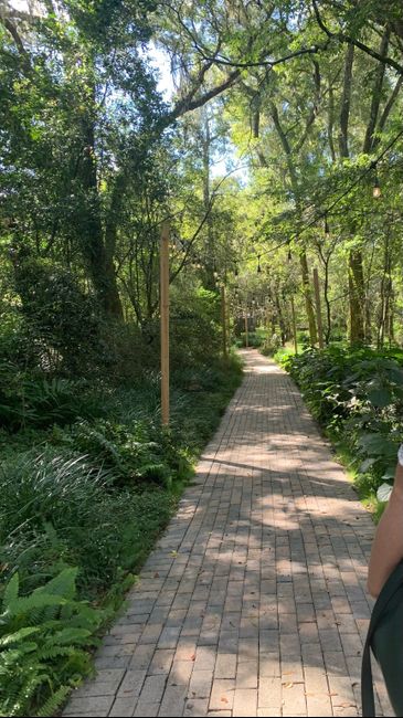 Where is everyone getting married? 1