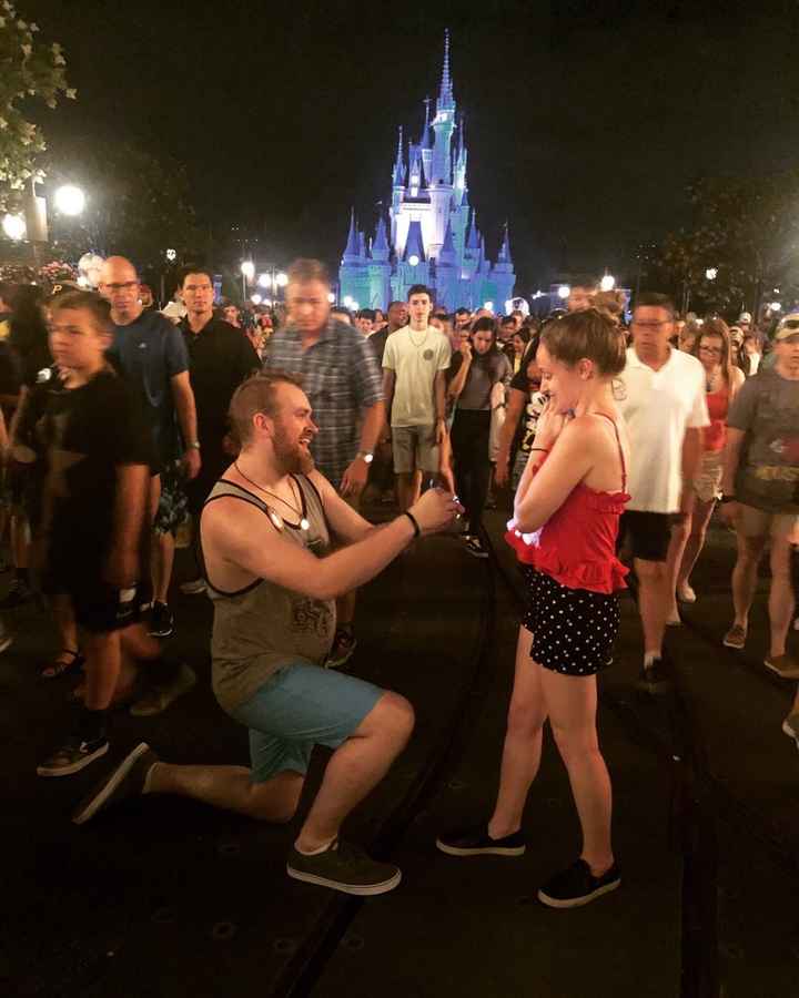 The Proposal