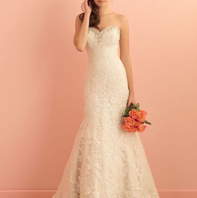 Have you said YES to the DRESS?