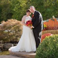 Pro pics slowly coming in