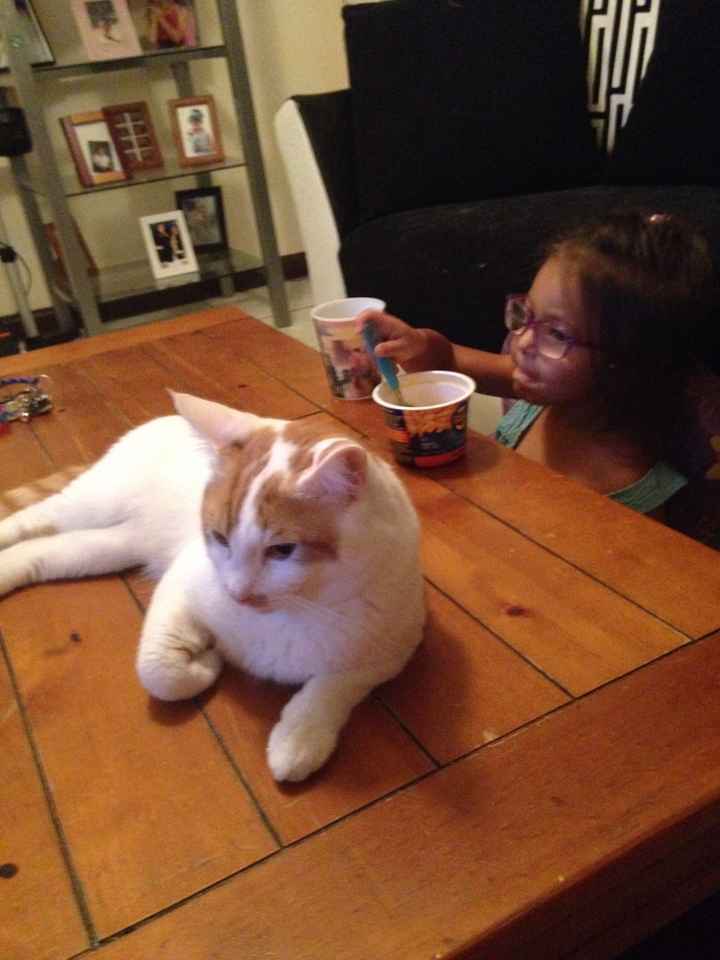 NWR: Our new kitties!