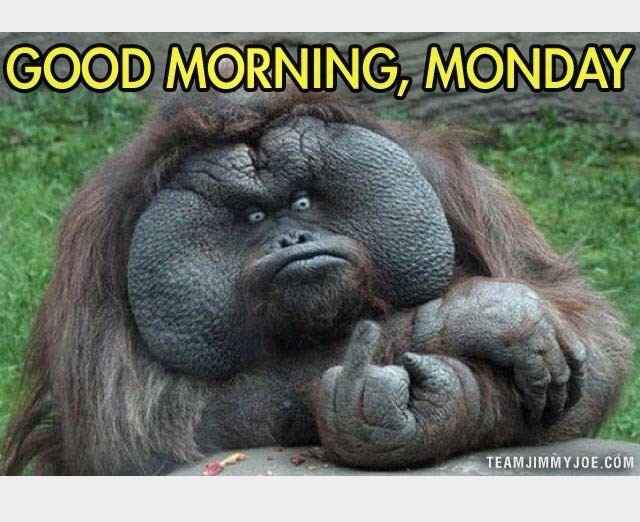 NWR: Monday Blues