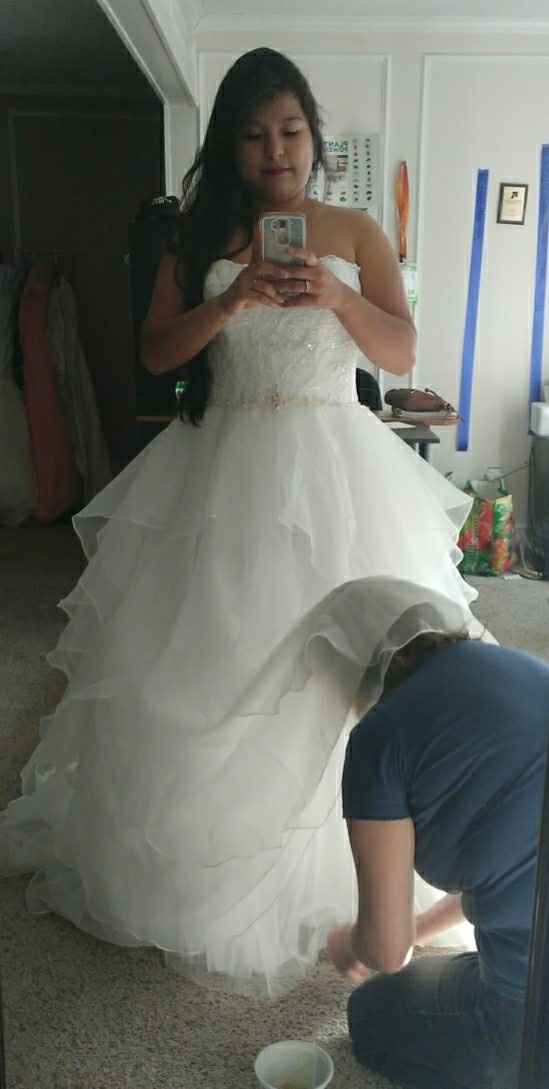 Dress update.
