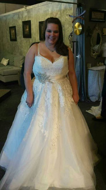Plus Size Brides , share your dress !