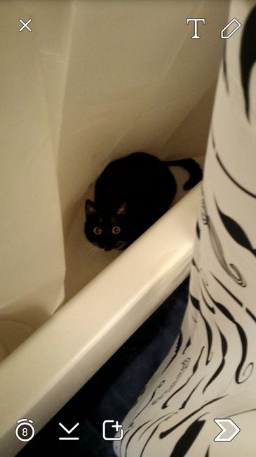 NWR: post pics of your pets!!