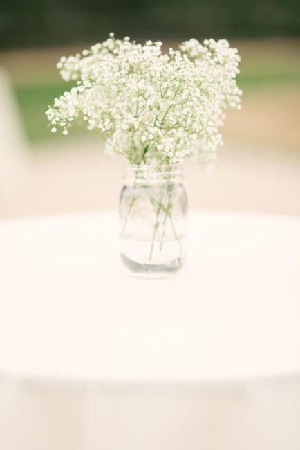 Mason Jar Centerpiece Ideas (Pics)