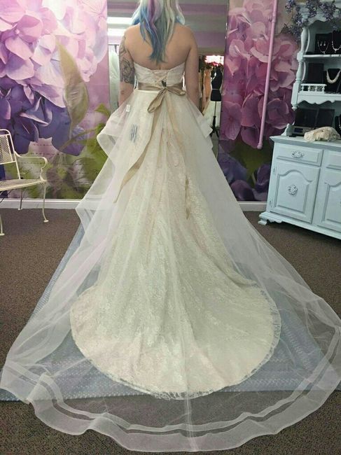 Veil suggestions &/or too much?