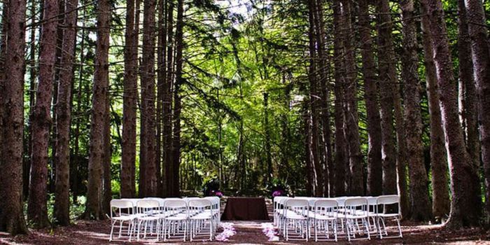 Outdoor ceremony with dress train 1