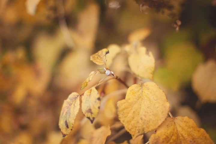 Show me your creative ring shot!