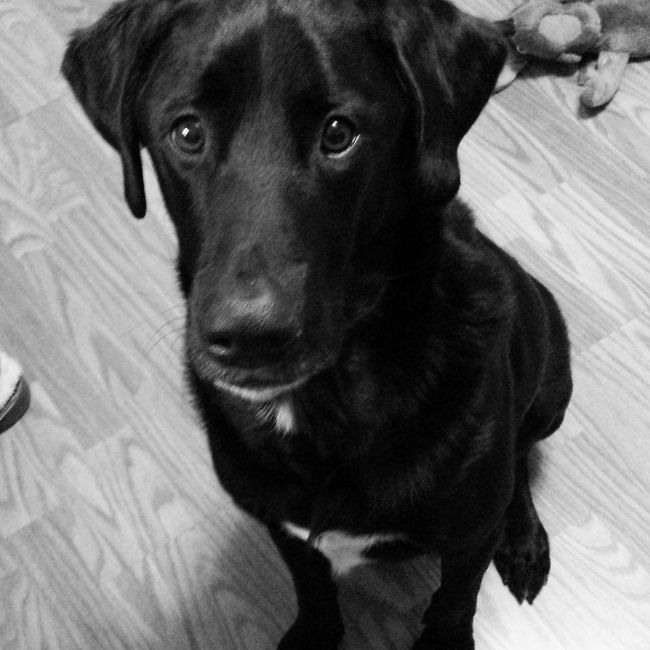 I LOVE my fur baby!