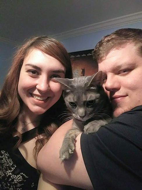 Tell me about your pets! - 1