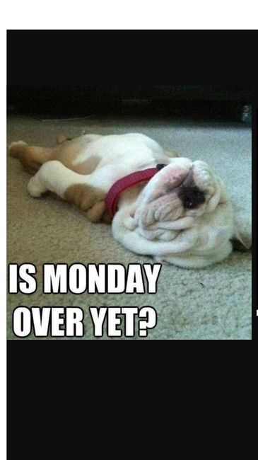 I Hate Monday