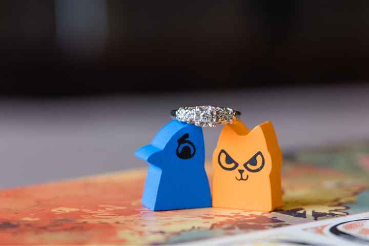 Engagement Photos - 8