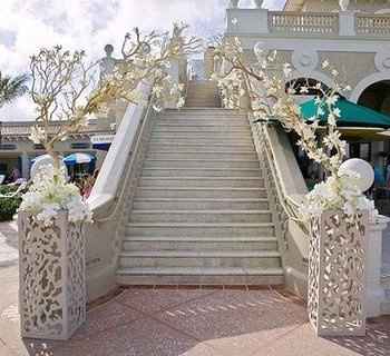 I LOVE Manzanita Trees.. Help me create this please!!!! (**Pic**)