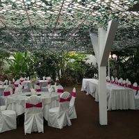 What do you think of this dress for bm?