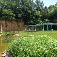 Brand New to Wedding Wire!