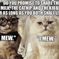 Can we do Meme Monday?