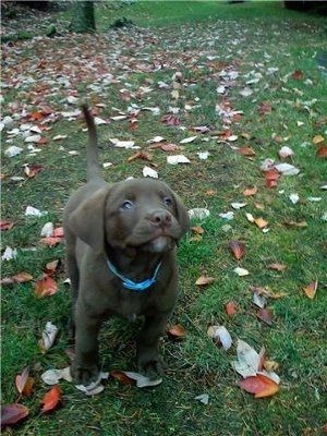 NWR - Furbabies :)