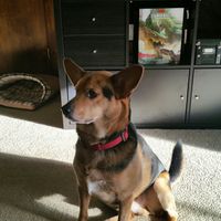 Show me your fur babies!