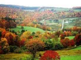 Getting married on a holiday/already special calendar day?