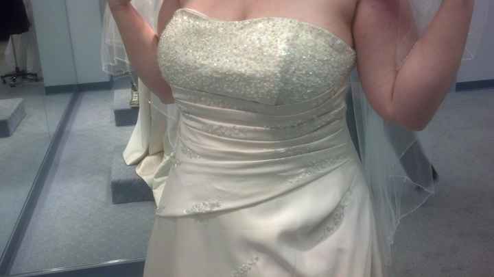 I finally said Yes to a dress! Pic included!