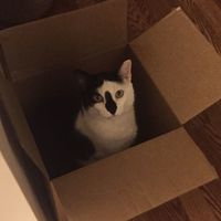 NWR: Need some well wishes