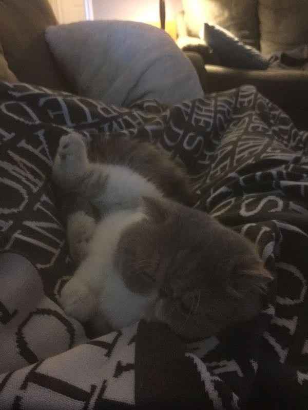 NWR: you and furbaby pic!