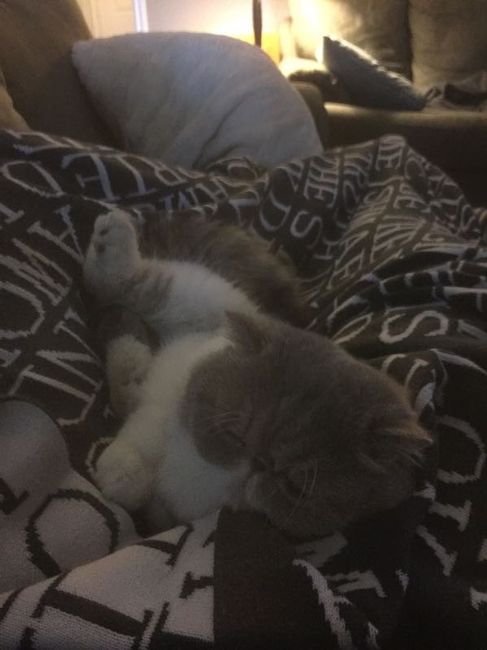 NWR: you and furbaby pic!