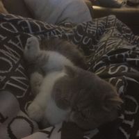 NWR: you and furbaby pic!