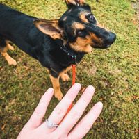 Brides of 2021! Show us your ring! - 1