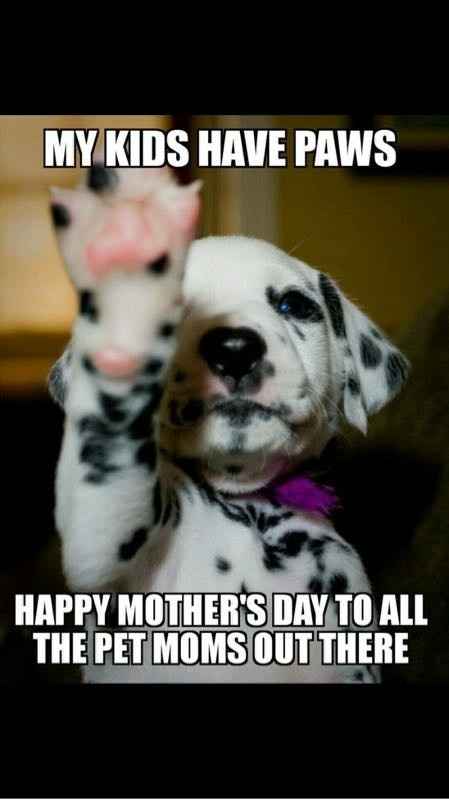 Technically I'm a mom too! Lol