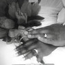 N Roach