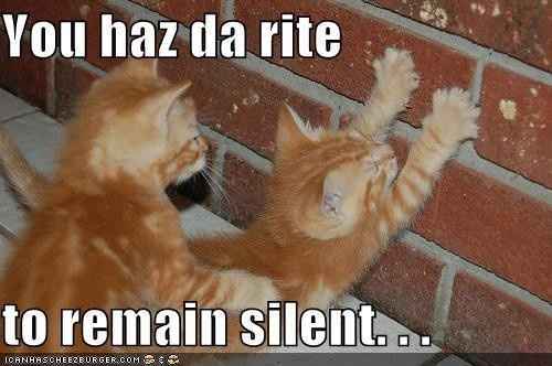 Bored - Cat pic time :)