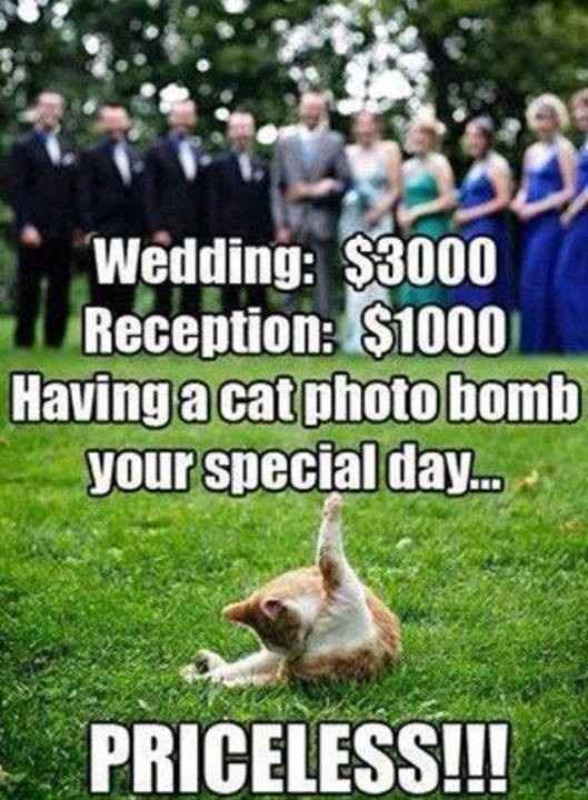 Wedding Photobomb to laugh about