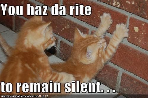 Bored - Cat pic time :)
