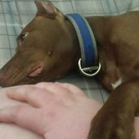 NWR: Show me your pups!