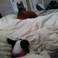 The line of 1000+ people