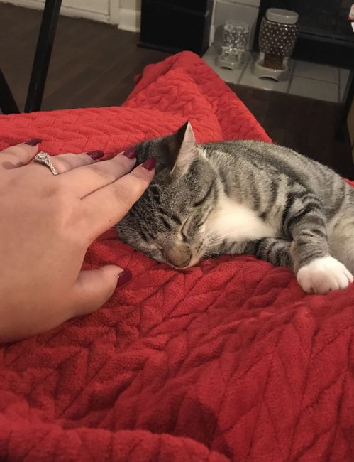 NWR: Shameless pet post!