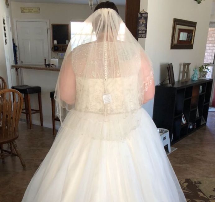 Veil: right color, wrong length? - 1